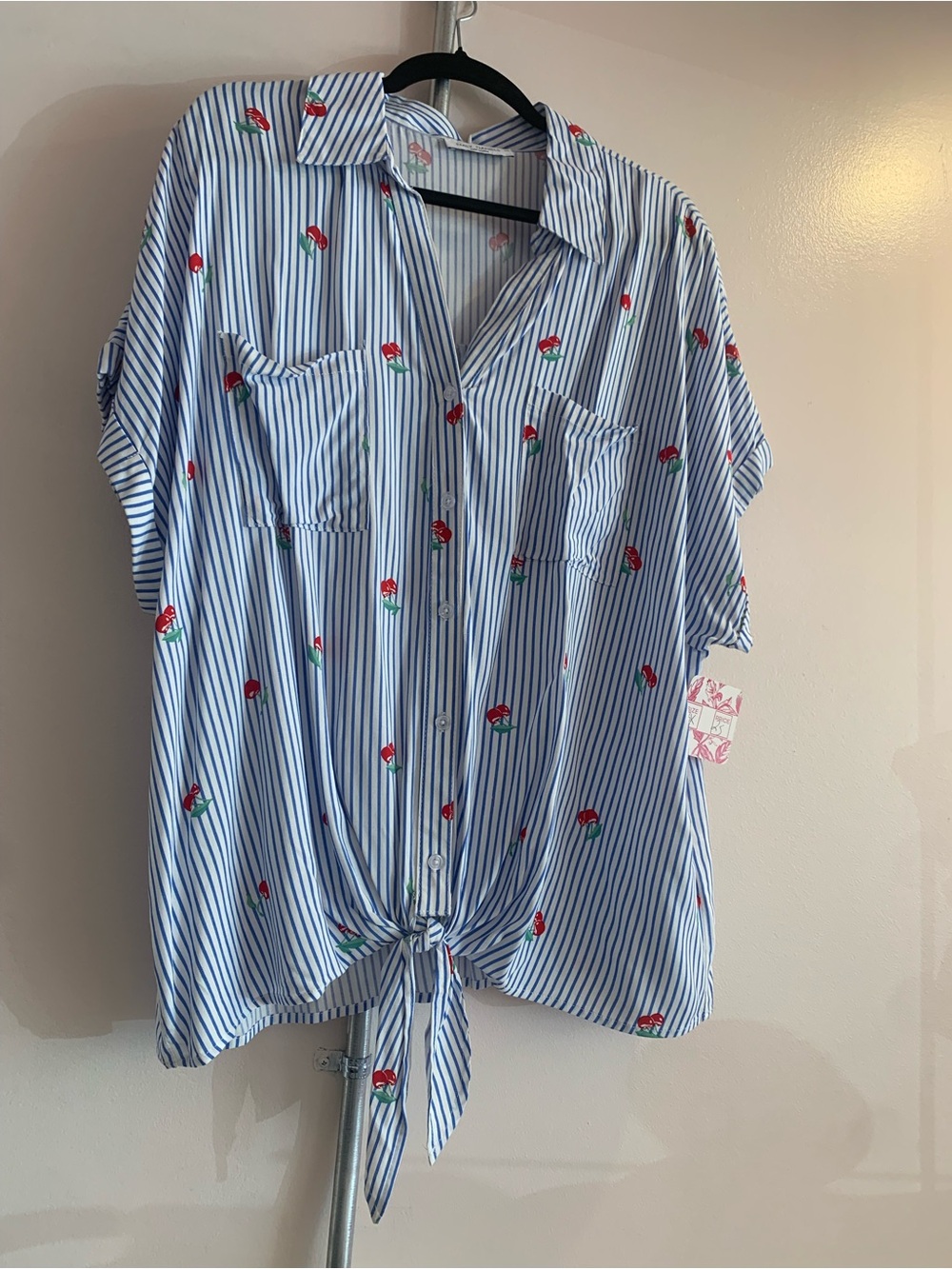 Striped Blue Tie-Front Button Shirt with Red Floral Embroidery
